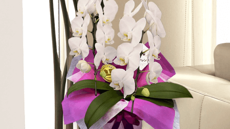 開店・開業祝い